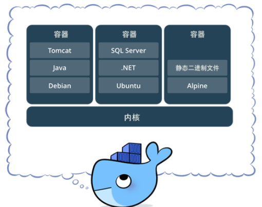 image-20220821172154001.png